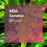 MIÓ, Sonesu Yeast Fermentation