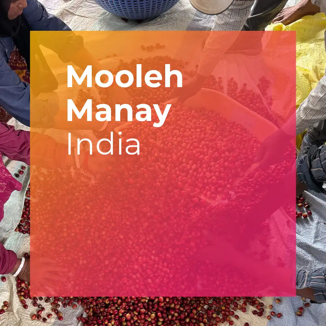 MOOLEH MANAY, Natural Carbonic Maceration