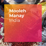 MOOLEH MANAY, Natural Carbonic Maceration