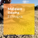 MALAWO, Sidama Washed