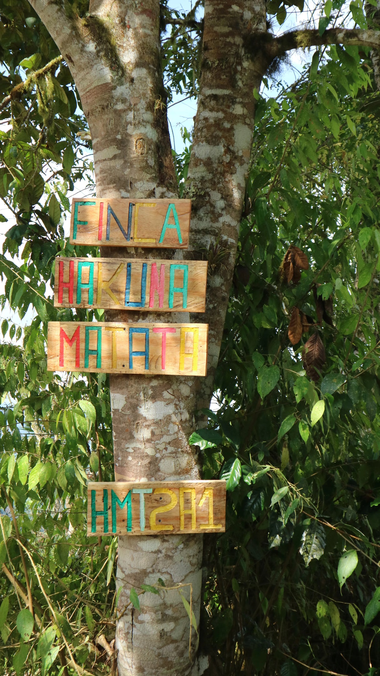 Rustic signpost for Hakuna Matata at Finca Maputo coffee farm, Ecuador