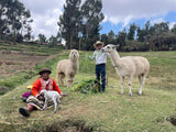 Marcelino Chinguel and his wife Grimanes feeding their animals on their coffee farm