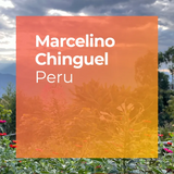 Thumbnail image for coffee release Marcelino Chinguel, Marshell Natural, Peru