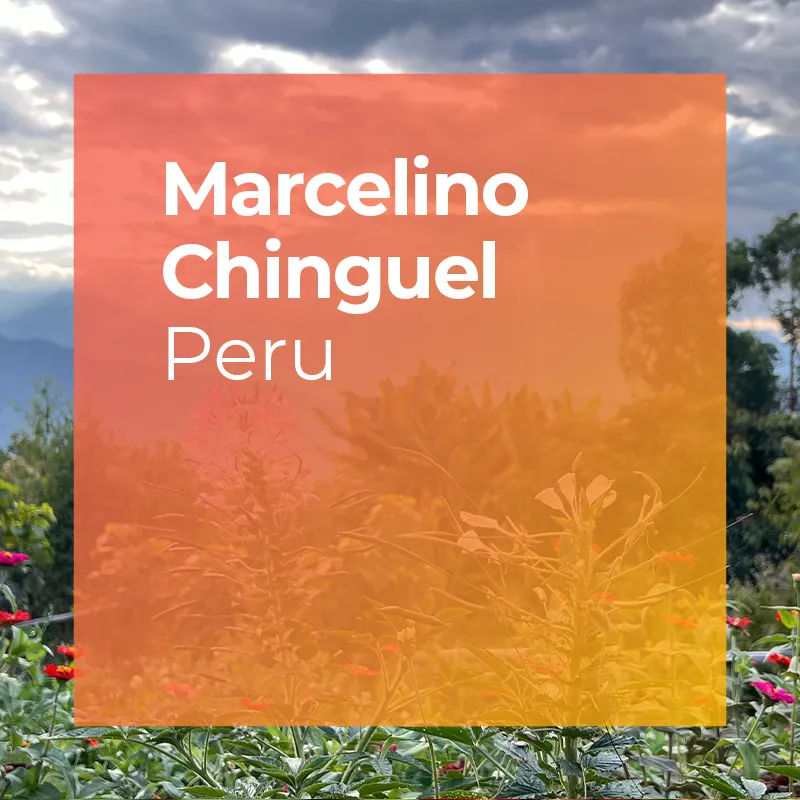 Photo of MARCELINO CHINGUEL, Marshell Natural
