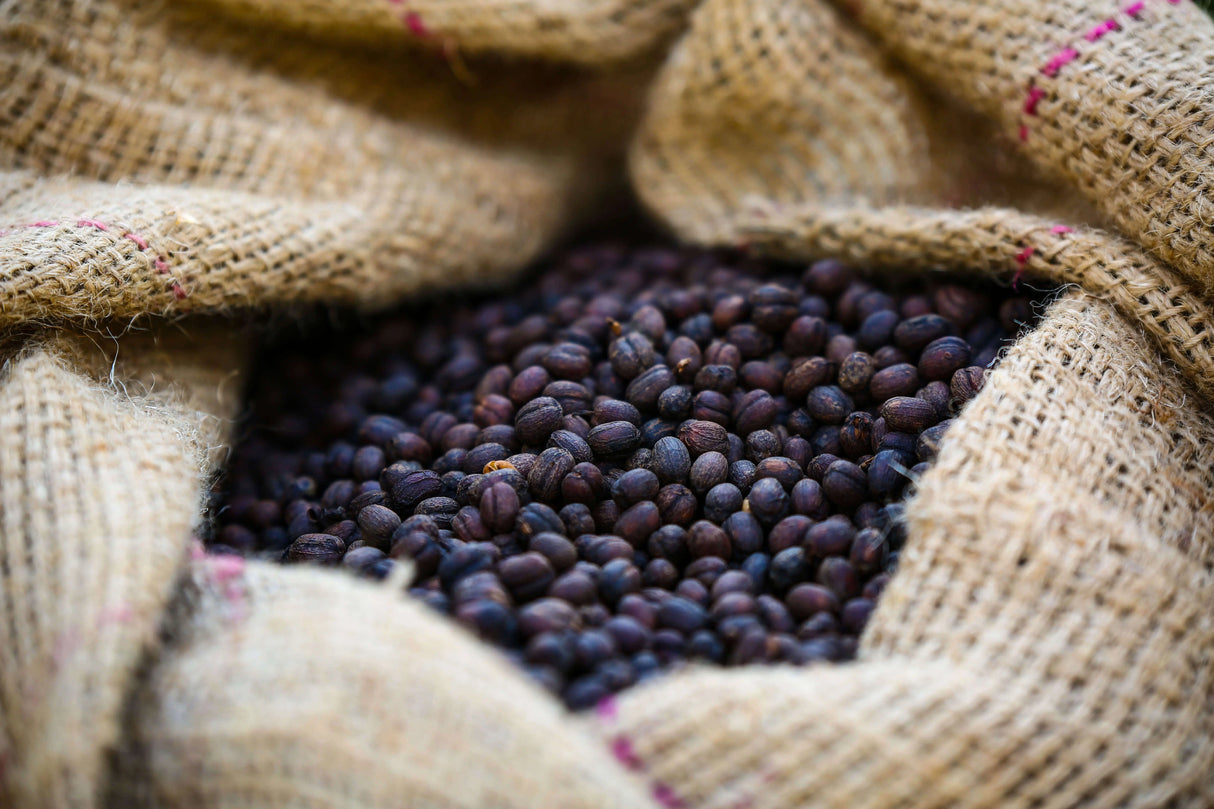 ODACO, Sidama Natural