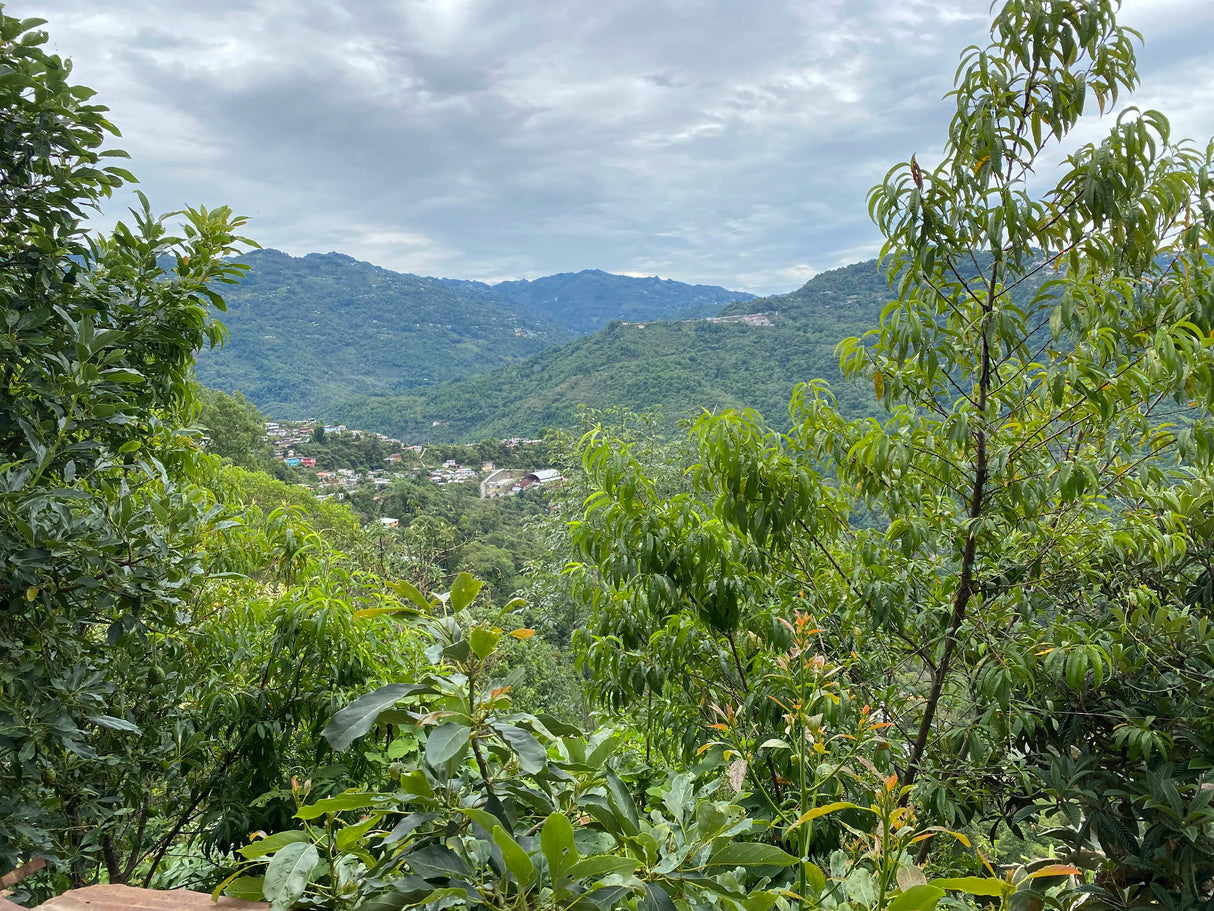 PEÑA COLORADA, Community Lot