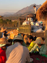 PHA YAR GYI KONE, Community Lot