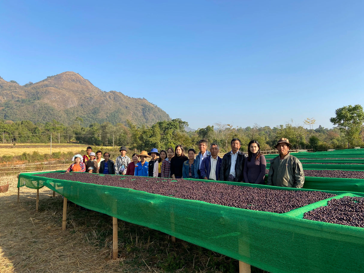 PHA YAR GYI KONE, Community Lot