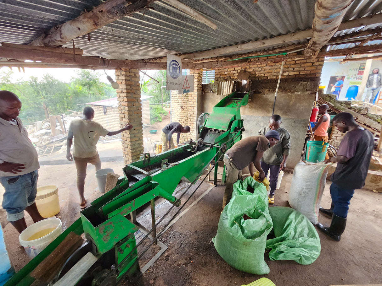 RWAMATAMU, Mbare Fully Washed