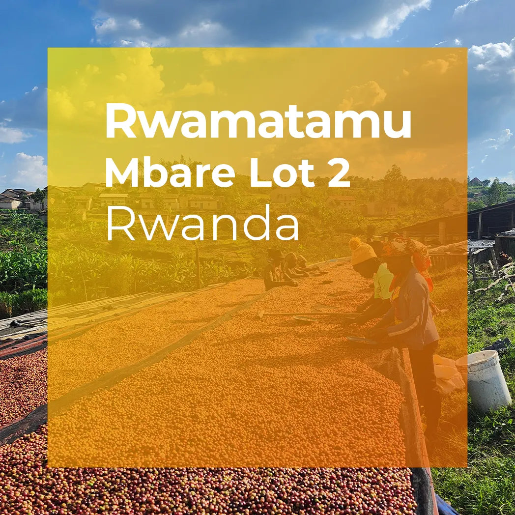 RWAMATAMU, Mbare Fully Washed