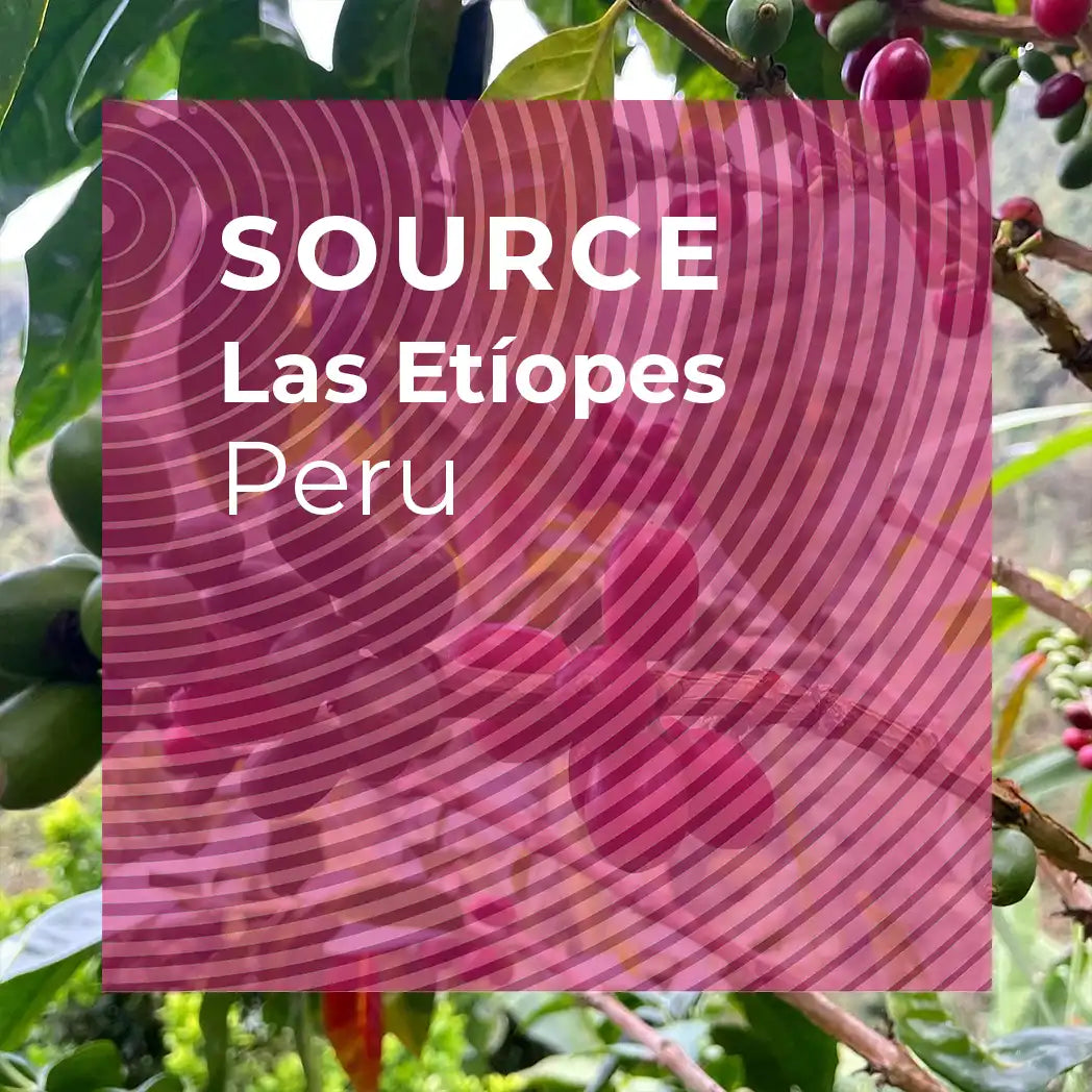 SOURCE Espresso