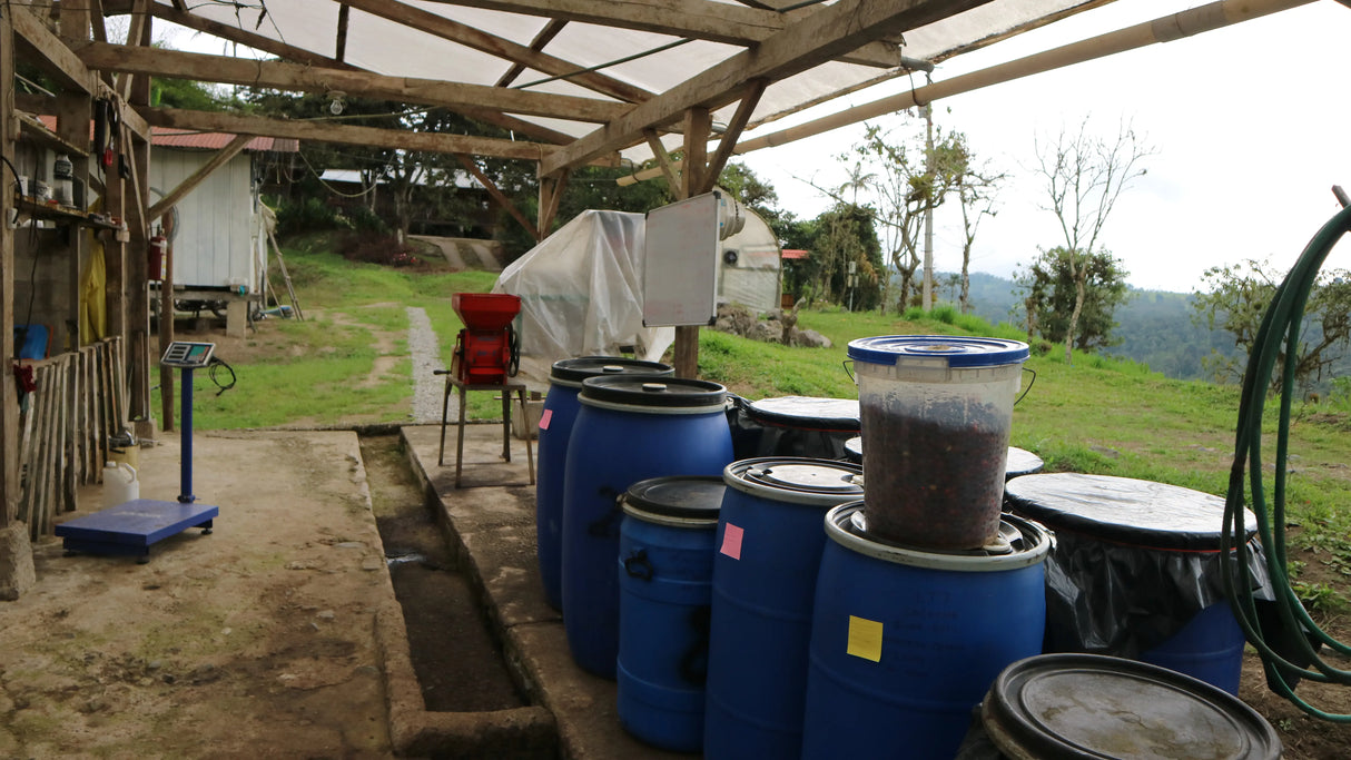 Fermentation barrels for coffee micro-lots at San Agustin Estate, Ecuador