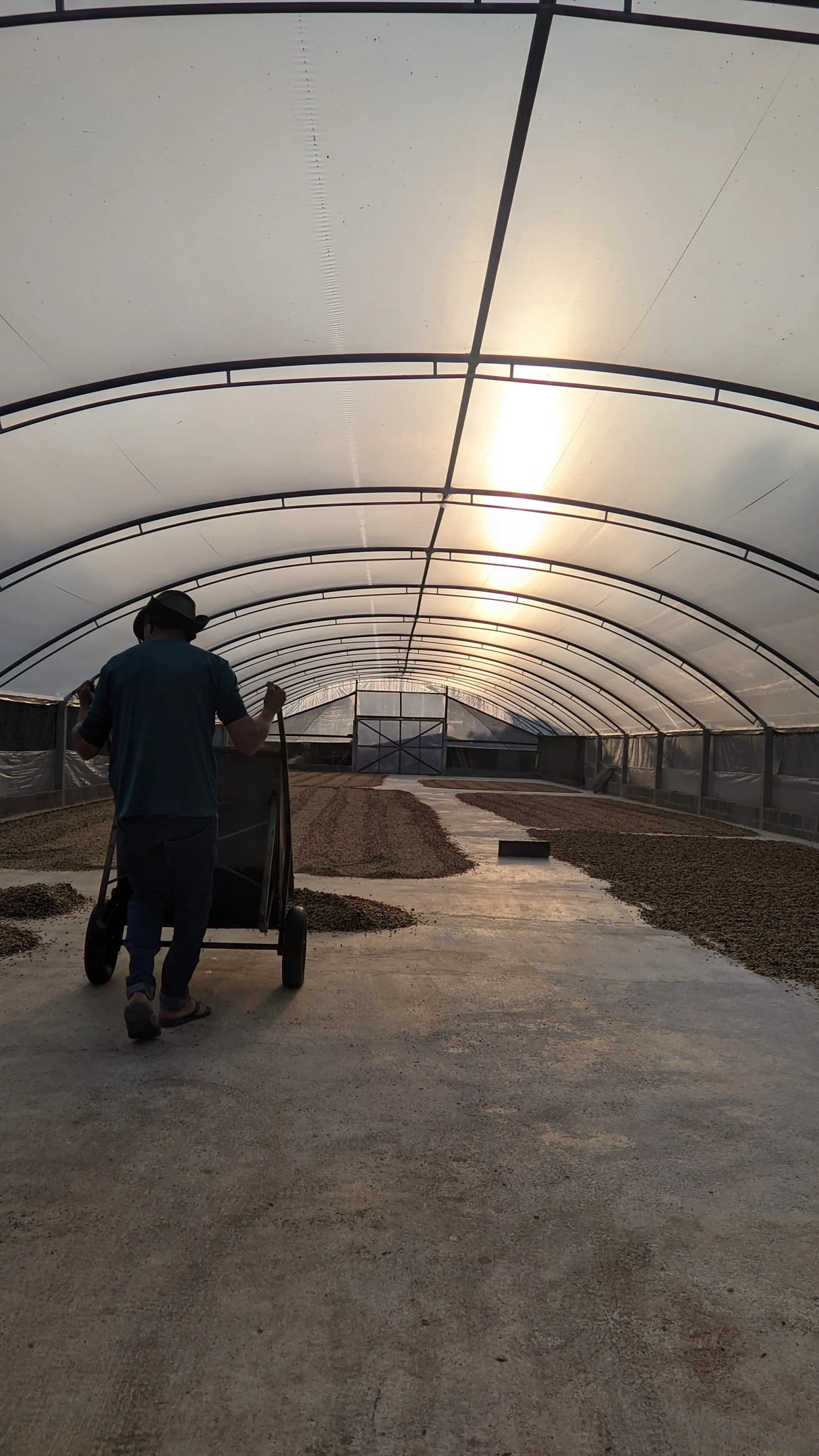 ICON 62 - Sítio Denizar, Cup of Excellence