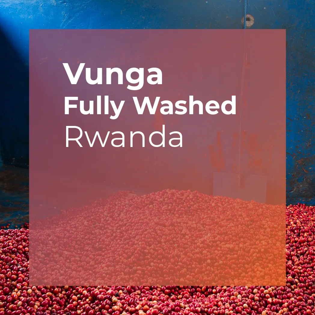 VUNGA, Fully Washed