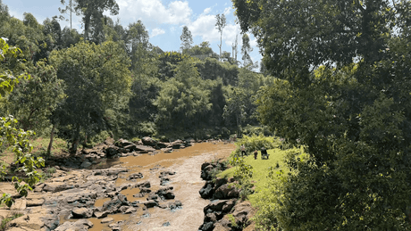 A beautiful river scene from Sidama in Ethiopia