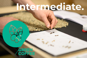SCA Green Coffee Intermediate